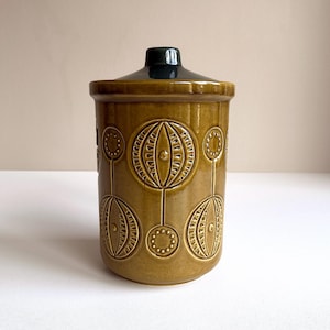 May include: A vintage ceramic jar with a lid. The jar is a warm, earthy brown color with a dark green lid. The exterior features a repeating pattern of stylized floral or botanical designs. The jar is likely used for storage.