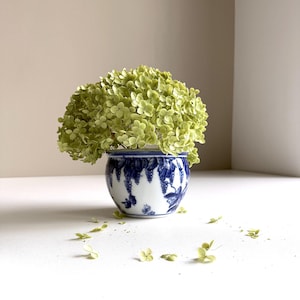 Peut inclure: Un petit pot rond en céramique blanc et bleu avec un motif floral, rempli d'une grappe de fleurs vertes. Le pot a un bord bleu et un motif bleu détaillé. Des pétales éparpillés entourent la base du pot.