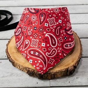 Red Paisley Pet Bandana / Pet Scarf