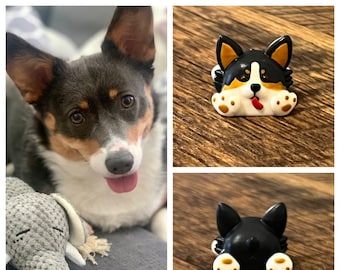 May include: A black and white corgi dog figurine with brown ears and a pink tongue sticking out. The figurine is sitting on a wooden surface.