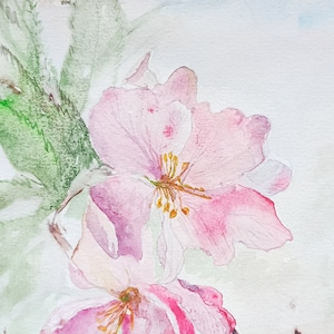 Dipinto ad acquerello di fiori di melo originale Regalo per lei