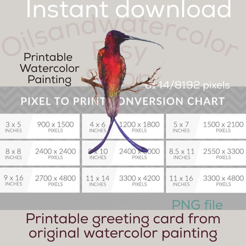 Hummingbird clip art Watercolor colibri painting instant download Still life downloadable clipart Digital watercolor bird painting
