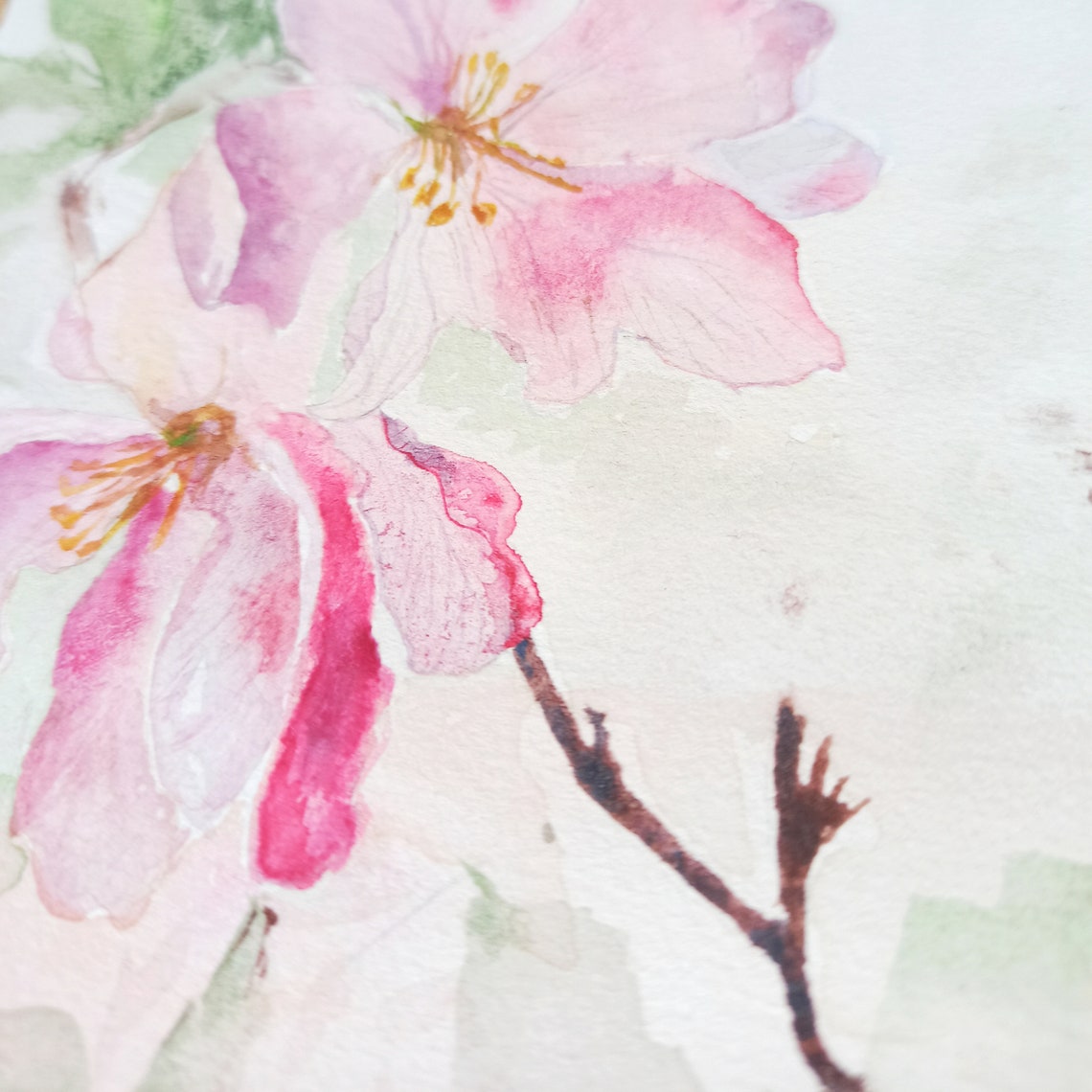 Apple Blossom Watercolor Painting Original Gift for Her - Etsy