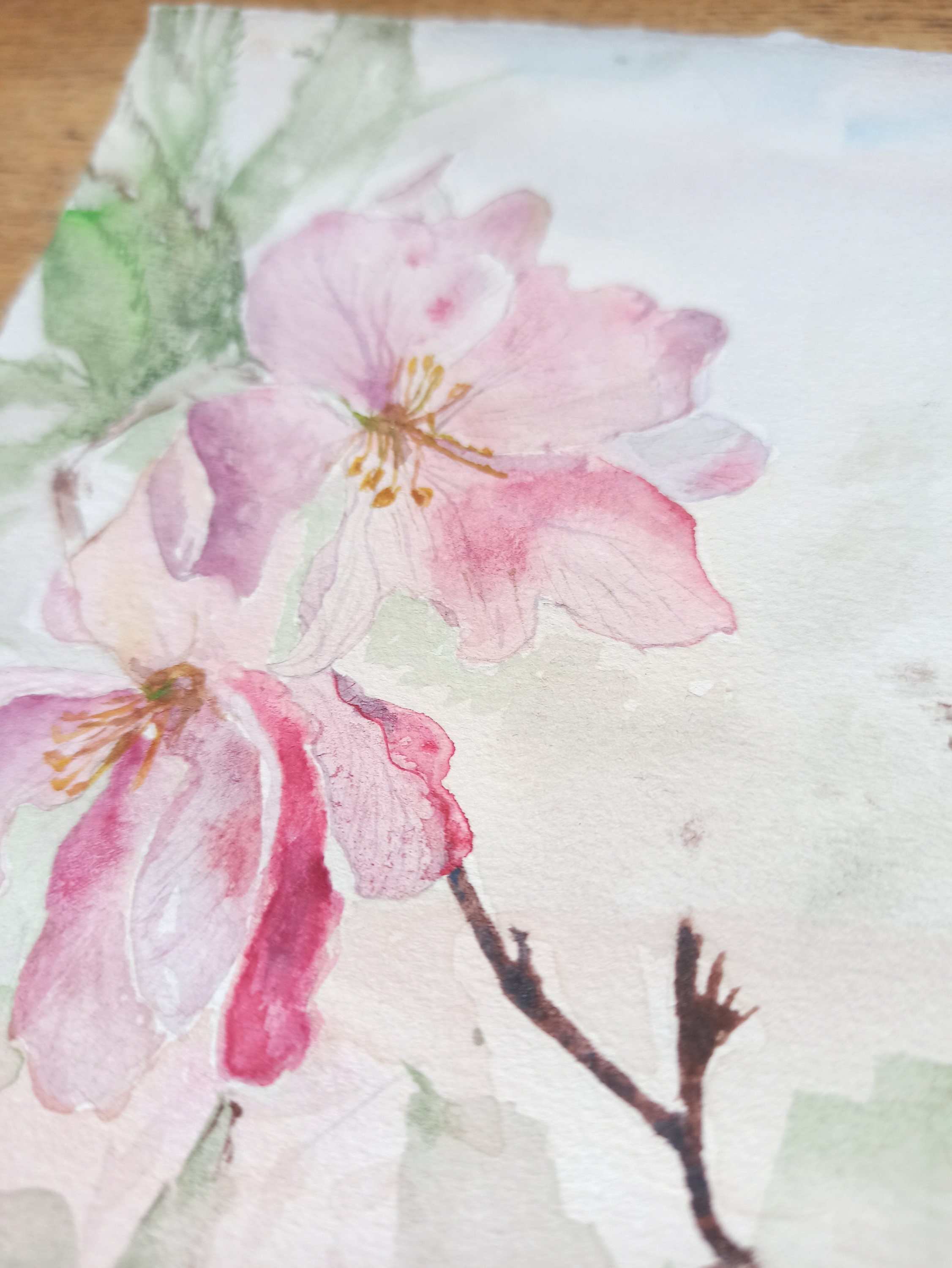 Apple Blossom Watercolor Painting Original Gift for Her - Etsy
