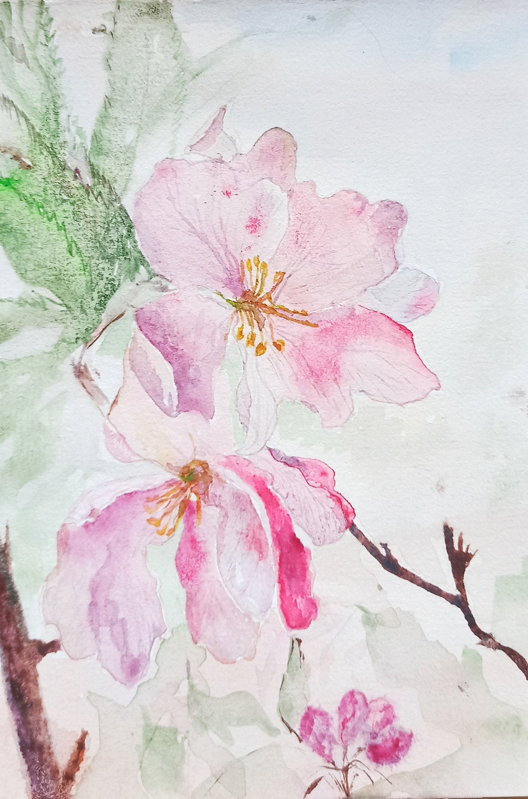 Apple Blossom Watercolor Painting Original Gift for Her - Etsy