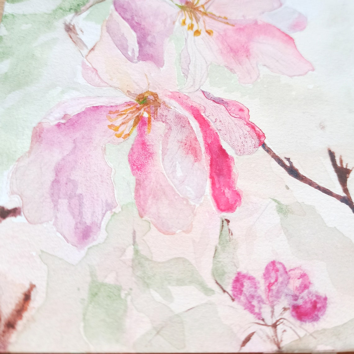 Apple Blossom Watercolor Painting Original Gift for Her - Etsy