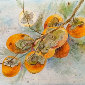 Persimmon tree painting original Growing fruit watercolor artwork for home warming decor Kitchen wall art Large botanical watercolor