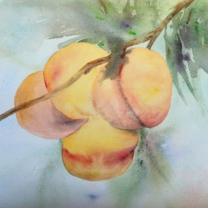 Peach Watercolor Painting: Original Still Life Kitchen Wall Art