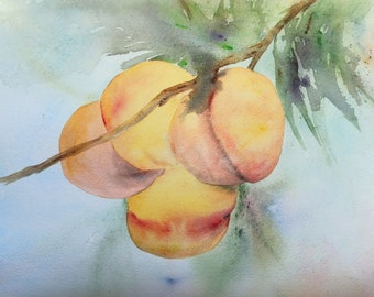 Peach painting Watercolor fruit painting original Still life watercolor kitchen decor Apricot wall decor