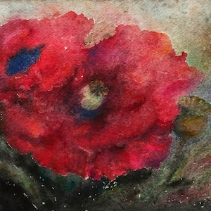 Dipinto originale di papaveri californiani Ritratto di fiore rosso nell'opera d'arte notturna Opera d'arte botanica floreale