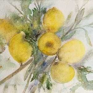 Lemon painting original Watercolor 11 by 15 inches handmade wall art Growing lemon fruit botanical watercolor for home warming decor
