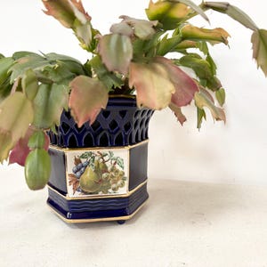 May include: A dark blue ceramic planter with a lattice design and gold trim, holding a green and pink flowering plant. The planter features a rectangular panel with a fruit illustration.
