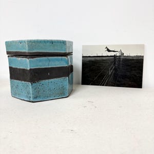 May include: A hexagonal ceramic box with a turquoise and black striped design. The box is next to a black and white photograph of a dog jumping over a fence.