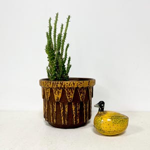 Pode incluir: Um vaso de cerâmica marrom e amarelo com um design geométrico, cheio de uma planta de cacto verde. Uma figura de pato amarelo com olhos pretos fica na frente do vaso.