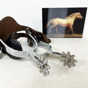 Può includere: Un paio di speroni d'argento con rotelle a forma di stella e cinturini in pelle. Un'immagine incorniciata di un cavallo è sullo sfondo. Gli speroni sono progettati per l'equitazione.
