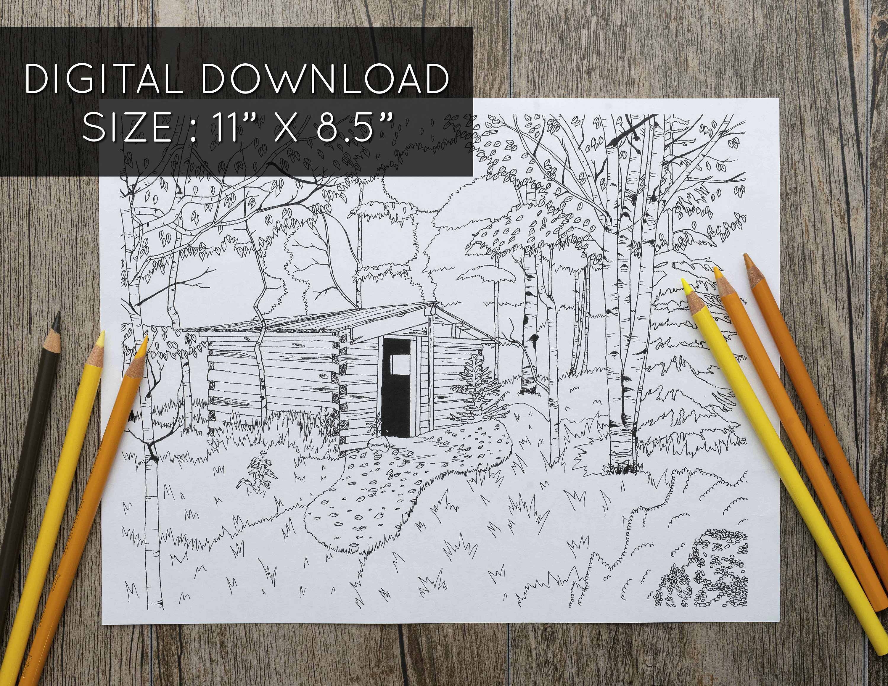 Cabin in the Woods, Printable Adult Coloring Page, Forest Coloring Page ...