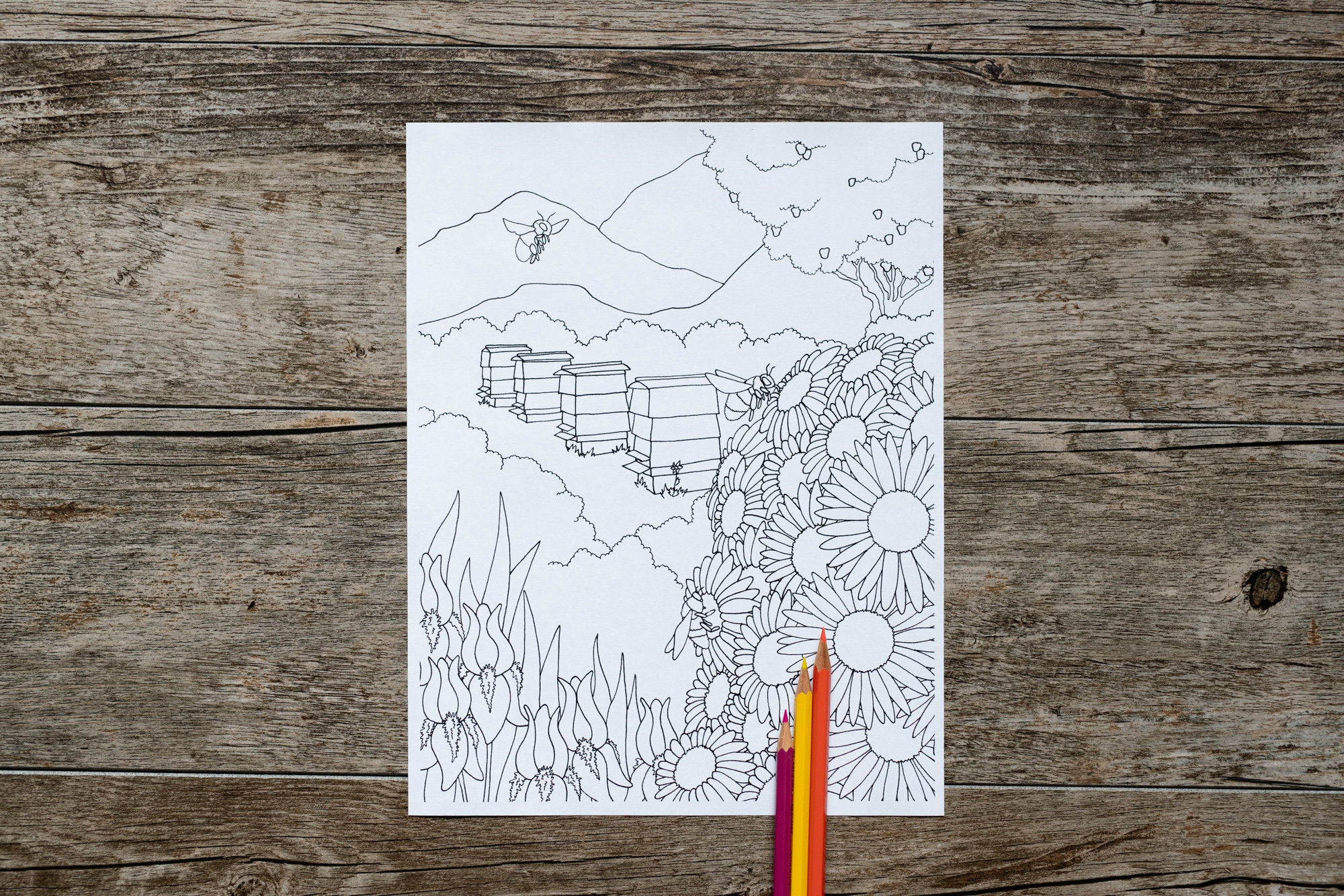 Bee Hive Coloring Page, Bees Coloring Page, Bees, Bee Hives, Bees in a