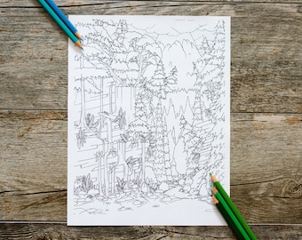 Linda cachoeira na montanha com um penhasco e uma trilha para colorir, página para colorir ao ar livre, natureza selvagem, download digital, download instantâneo