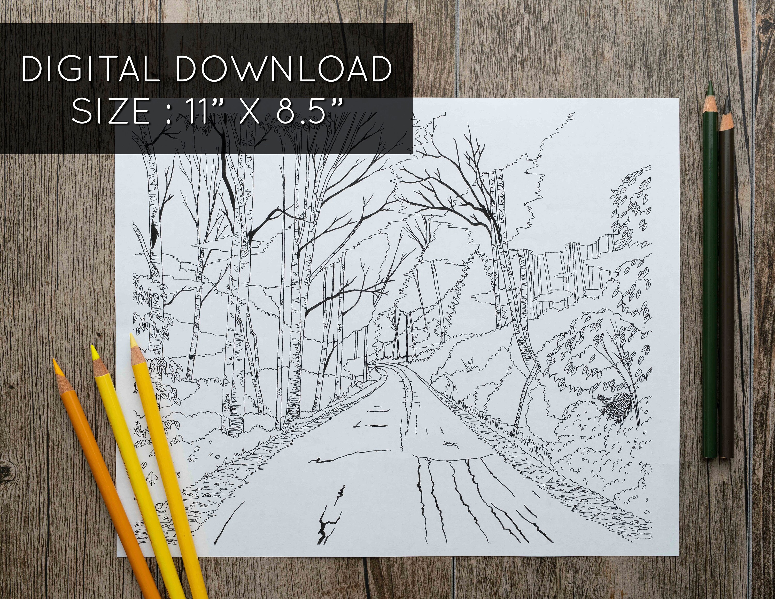 Forest Road, Printable Adult Coloring Page, Coloring Page, Nature