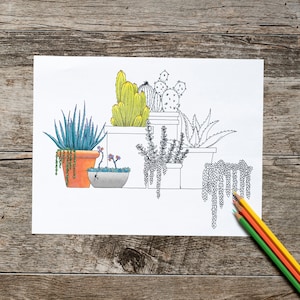 Succulents in Pots Coloring Page, Houseplant Coloring Page, Digital Download, Adult Coloring Page, Childrens Coloring Page, Cactus Coloring