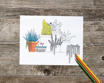 May include: A black and white line drawing of a collection of potted succulents and cacti on a white background. The drawing is ready to be colored in with colored pencils.