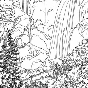 May include: A black and white line drawing of a waterfall cascading down a rocky cliffside. Lush greenery surrounds the waterfall, including ferns, trees, and other foliage. The scene is reminiscent of a natural landscape.