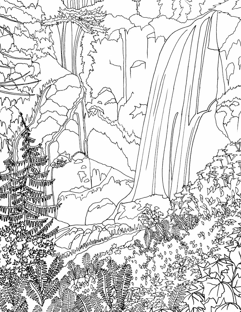 May include: A black and white line drawing of a waterfall cascading down a rocky cliffside. Lush greenery surrounds the waterfall, including ferns, trees, and other foliage. The scene is reminiscent of a natural landscape.