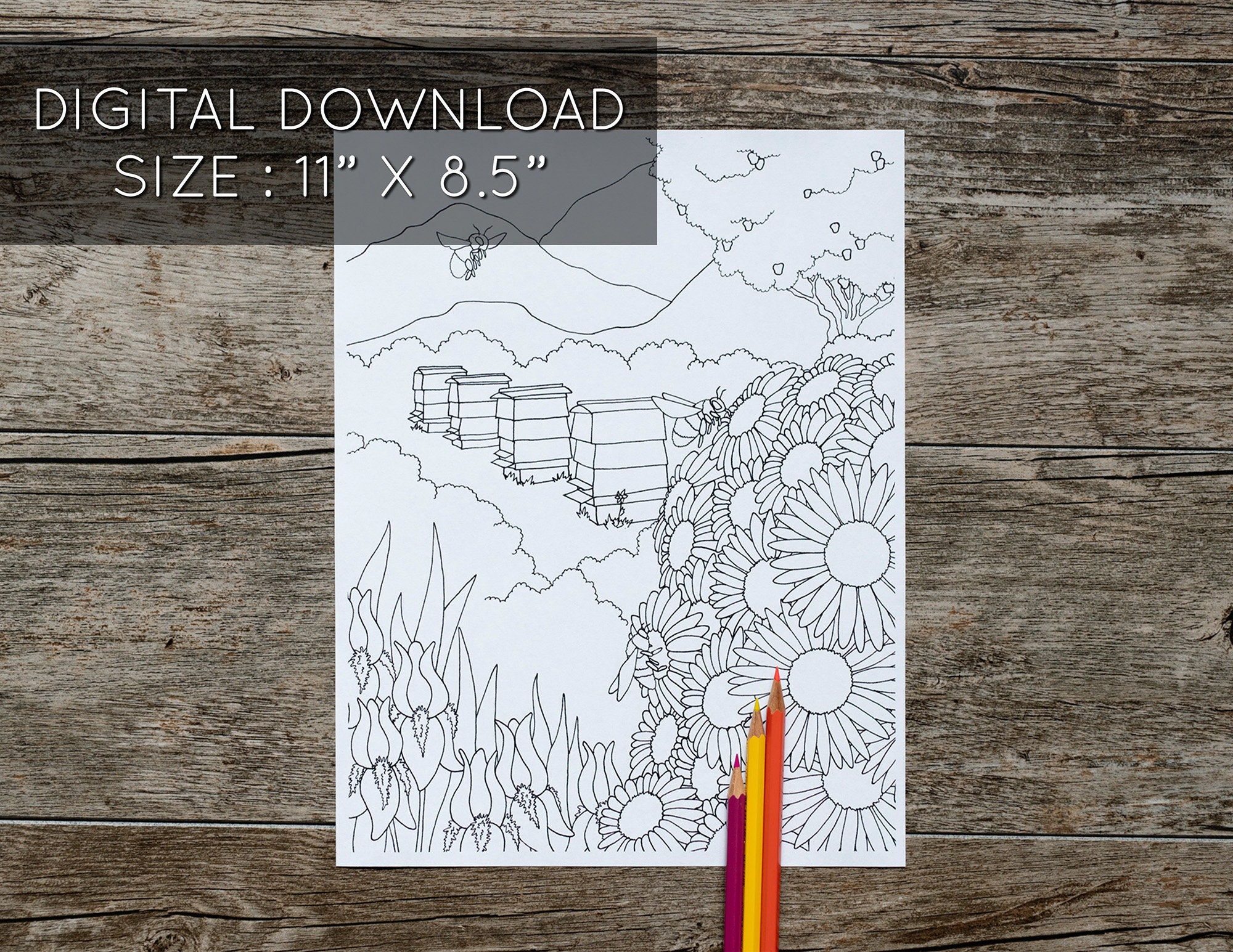 Bee Hive Coloring Page, Bees Coloring Page, Bees, Bee Hives, Bees in a ...