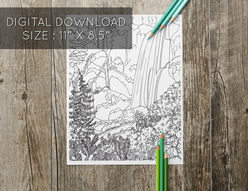 Waterfall in the Forest Adult Coloring Page, Adult Coloring Page, Nature Adult Coloring Pages, Waterfall Coloring Page, Instant Download image 4