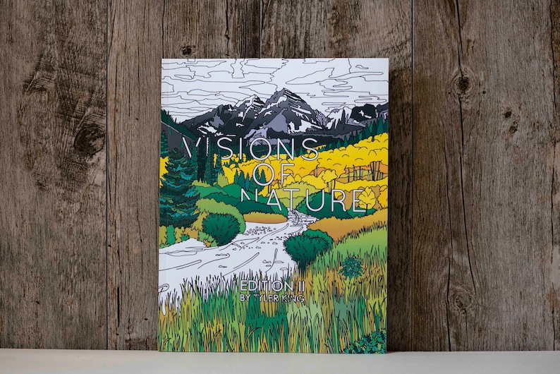May include: A book cover with a colorful illustration of a mountain range, a river, and trees. The title of the book is "Visions of Nature" and the subtitle is "Edition II by Tyler King".