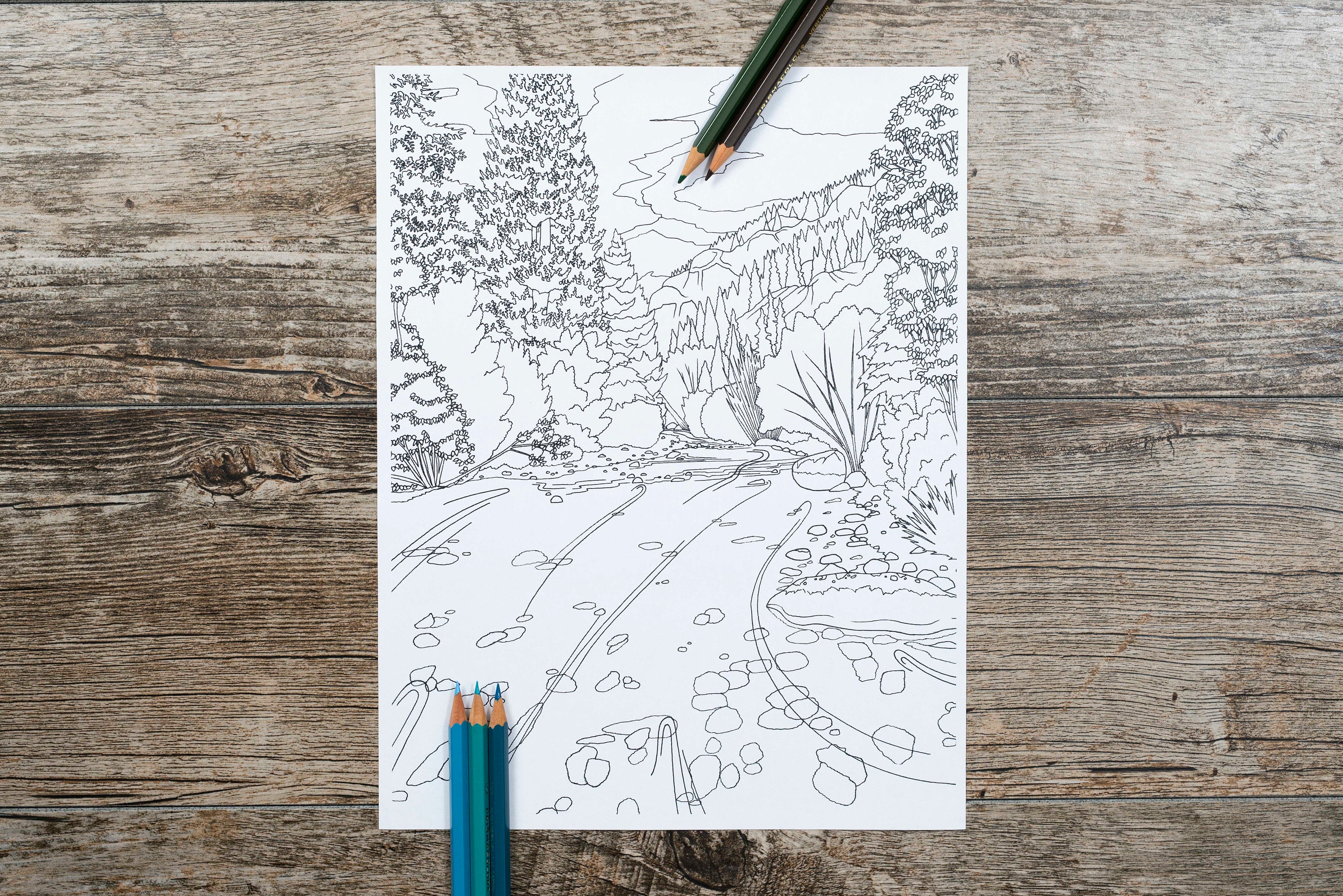 Colorado Coloring Pages - Etsy