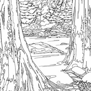 River Between Two Trees Adult Coloring Page, Adult Coloring Page ...
