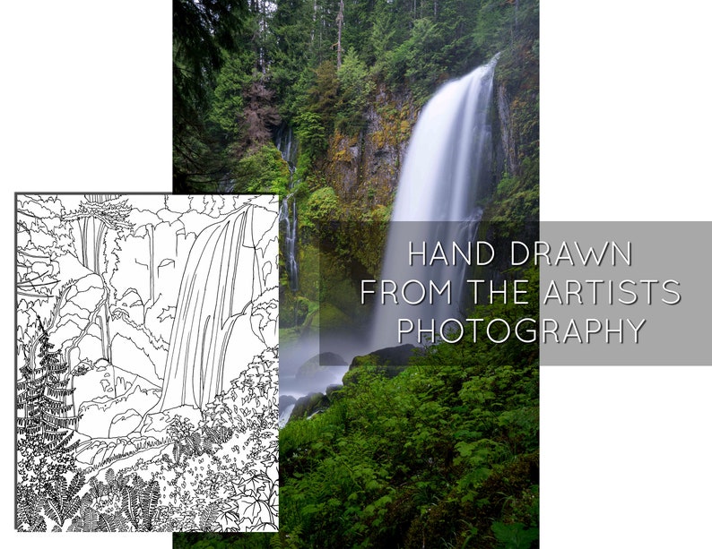 Waterfall in the Forest Adult Coloring Page, Adult Coloring Page, Nature Adult Coloring Pages, Waterfall Coloring Page, Instant Download image 5