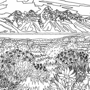 May include: A black and white line drawing of a mountain range with a lake in the foreground. The lake is surrounded by a field of wildflowers.