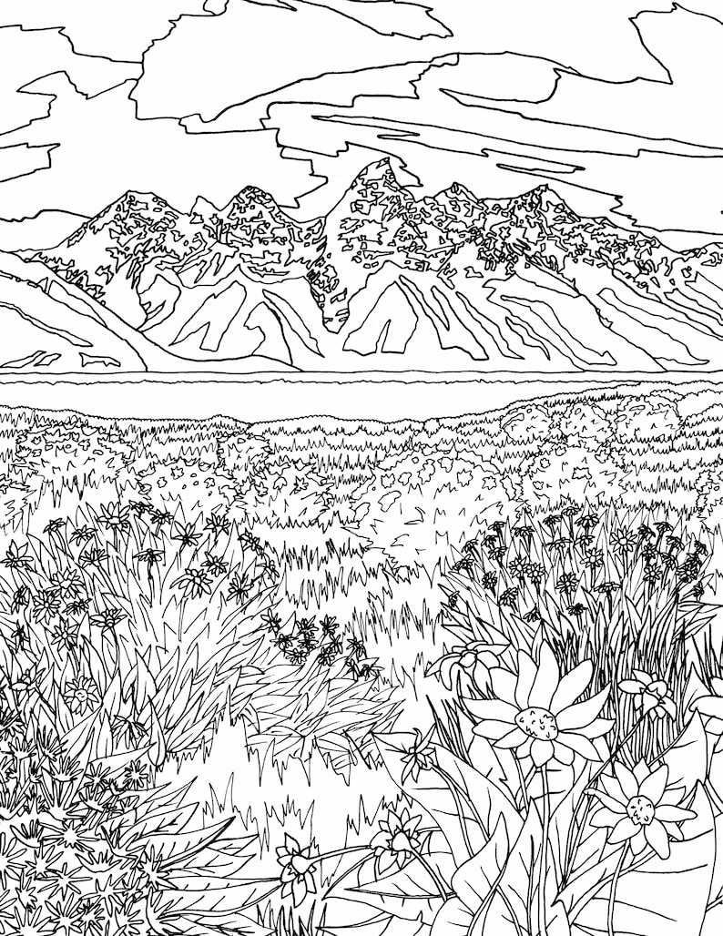 May include: A black and white line drawing of a mountain range with a lake in the foreground. The lake is surrounded by a field of wildflowers.