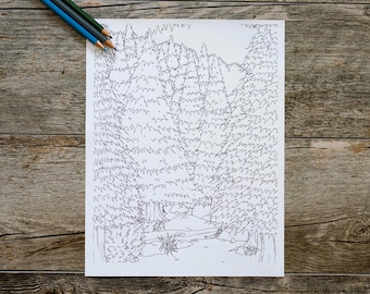 Página para colorir de floresta de abetos e pinheiros com rio, página para colorir ao ar livre, download digital, download instantâneo, página para colorir natureza
