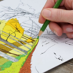 Forest Road,  Printable Adult Coloring Page, Coloring Page, Nature Coloring Page, Relaxing Coloring, Adult Coloring, Road through the Forest