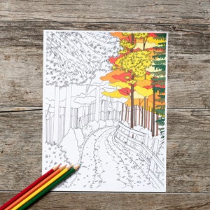 Weg durch den Wald Erwachsene Färbung Seite, Wald Färbung Seite, digitaler Download, Michail Seite, Seiten für Erwachsene