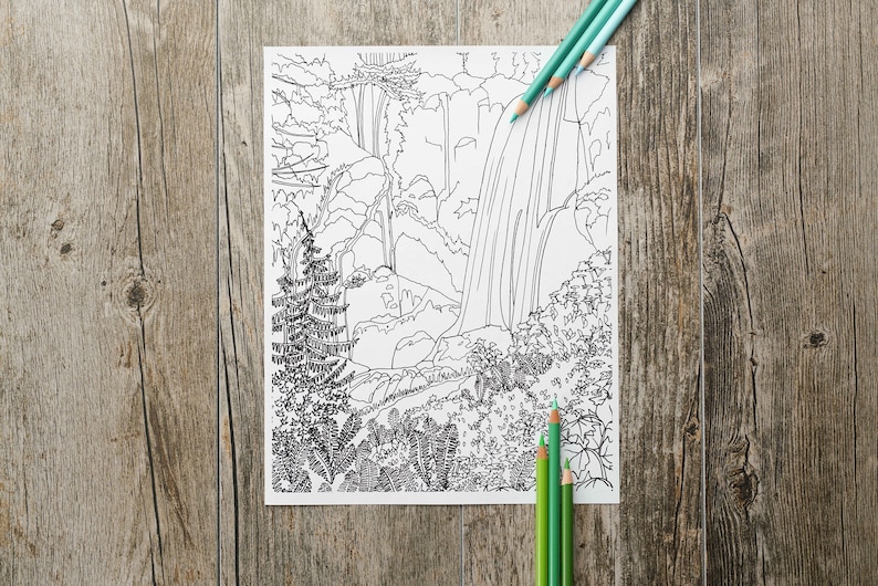 Waterfall in the Forest Adult Coloring Page, Adult Coloring Page, Nature Adult Coloring Pages, Waterfall Coloring Page, Instant Download image 3