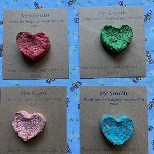Wild Flower plantable  Seed Hearts