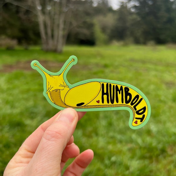 Humboldt banana slug magnet