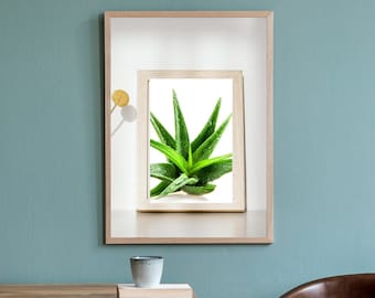 Wall Decor Minimalist Wall Art, Living Room Decor Wall Art, Home Decor Gift, Houseplant Decor, Plant Poster, Digital Prints