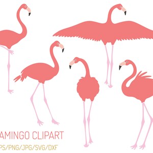 layered flamingo svg layered flamingo svg