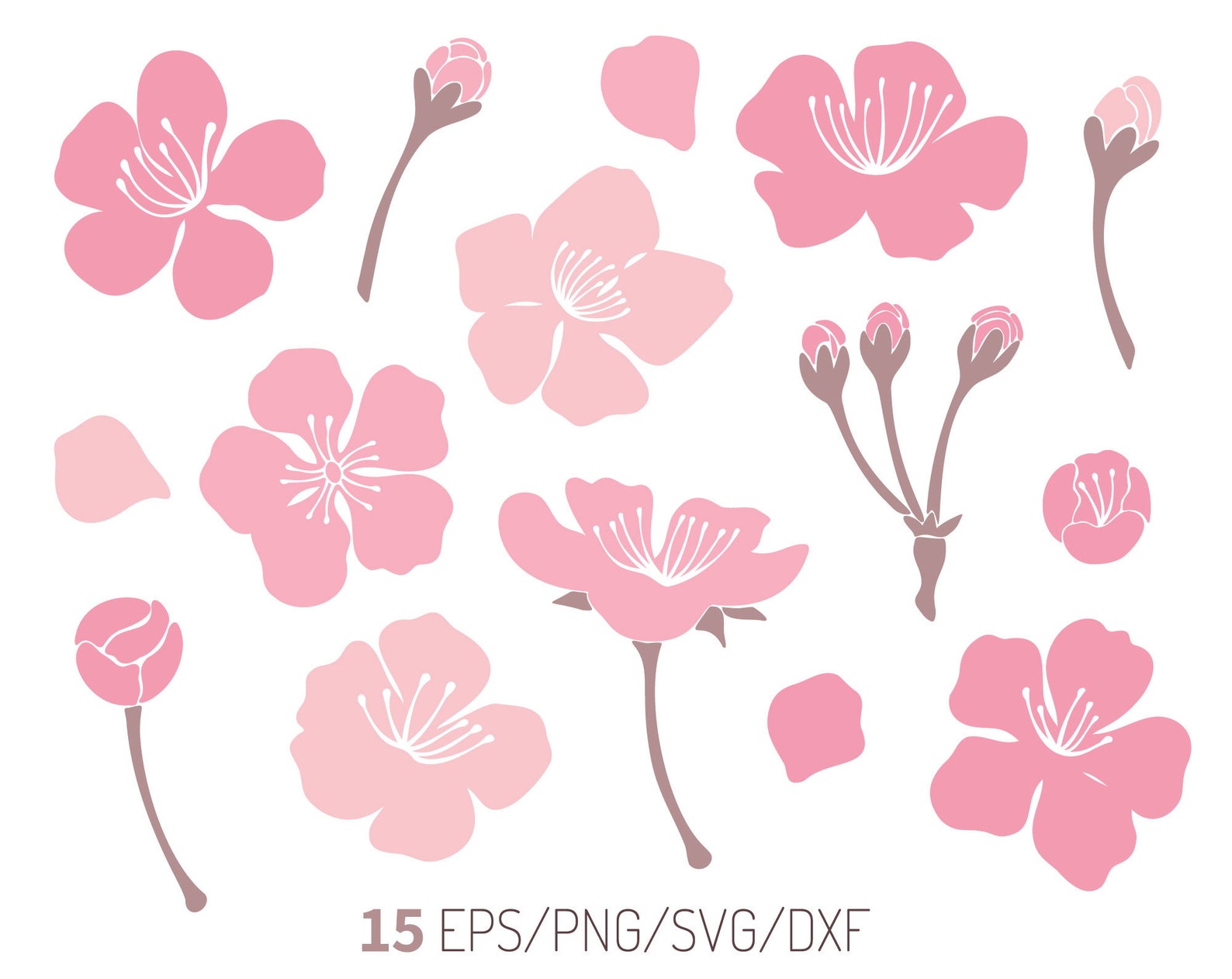 Cherry blossom svg Floral svg Vector flowers svg files for Etsy