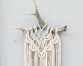 The Florence - Antler Macrame Wall Hanging