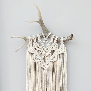 The Florence - Antler Macrame Wall Hanging