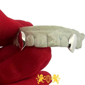May include: A dental mould of a set of teeth featuring two polished silver-coloured canine tooth caps. The mould is light grey and textured, showing the impression of individual teeth. The silver caps are smooth, reflective, and pointed in shape.