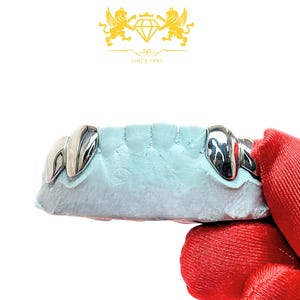 Custom Sterling Silver Fang Grillz: Shiny Trendy Style
