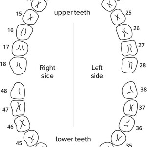 Handcrafted gold grillz that combine style, durability, and comfort.