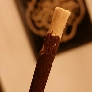 May include: A close-up of a wooden stick with a light brown, slightly frayed end. The stick is brown and has a natural wood grain.